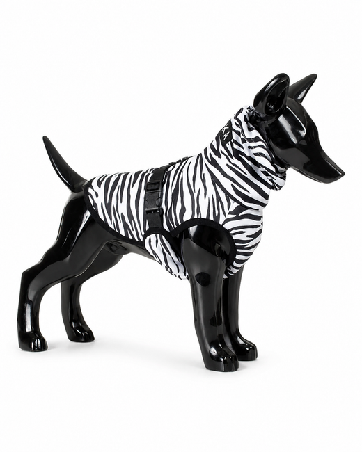 Stylische Kühlung & Insektenschutz für Hunde
