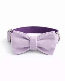 Hundehalsband-Set in Flieder mit Leine & Fliege – stilvolles Halsband für elegante Spaziergänge