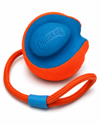 Chuckit! Rope Fetch – 3-in-1 Hundeball mit Seil zum Werfen, Kicken & Ziehen