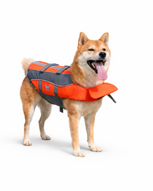 Dog Life Vest – Safe Dog Life Jacket with Buoyancy Aid & Handle