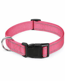 Outdoor Hunde-Halsband aus Nylon