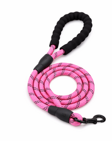 Reflective Braided Nylon Dog Leash – Robust Lead for Active Dogs