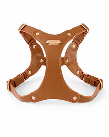 Style, comfort and control in a particularly beautiful form