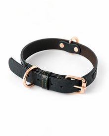 Halsband aus Leder – für mittelgroße & große Hunde