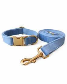 Blaues Samt-Hundehalsband & Leine