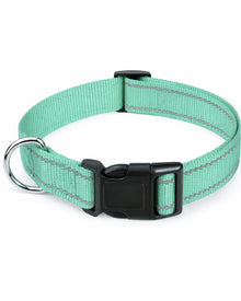 Outdoor Hunde-Halsband aus Nylon