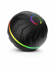 Smart Gravity Bouncing Ball – Interactive Dog Toy