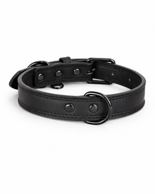 Premium Leather Dog Collar with Double D-Ring – Soft, Robust & Stylish