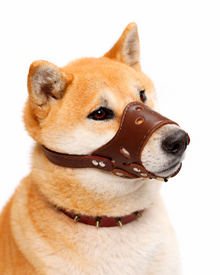 Adjustable Leather-Look Dog Muzzle – Breathable, Soft-Lined, and Securely Adjustable