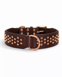 Breites Leder-Hundehalsband mit Nieten