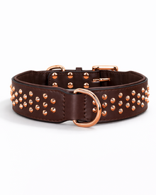 Breites Leder-Hundehalsband mit Nieten