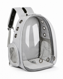 Space Backpack with a Clear View