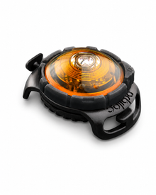 Orbiloc - Dog Dual Hundelampe – Sicherheitslicht in 11 Farben