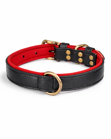 Kontrast-Hundehalsband im British Style – atmungsaktiv, weich gepolstert & stilvoll für jede Jahreszeit