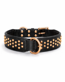 Breites Leder-Hundehalsband mit Nieten