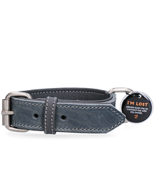 Spotted Pro Lederhalsband - Hochwertig & mit QR- & NFC-Hundemarke