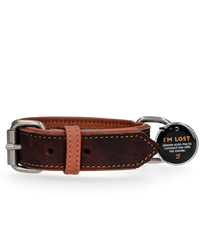 Spotted Pro Lederhalsband - Hochwertig & mit QR- & NFC-Hundemarke