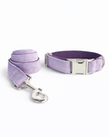 Collar and leash