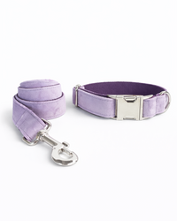 Hundehalsband-Set in Flieder mit Leine & Fliege – stilvolles Halsband für elegante Spaziergänge