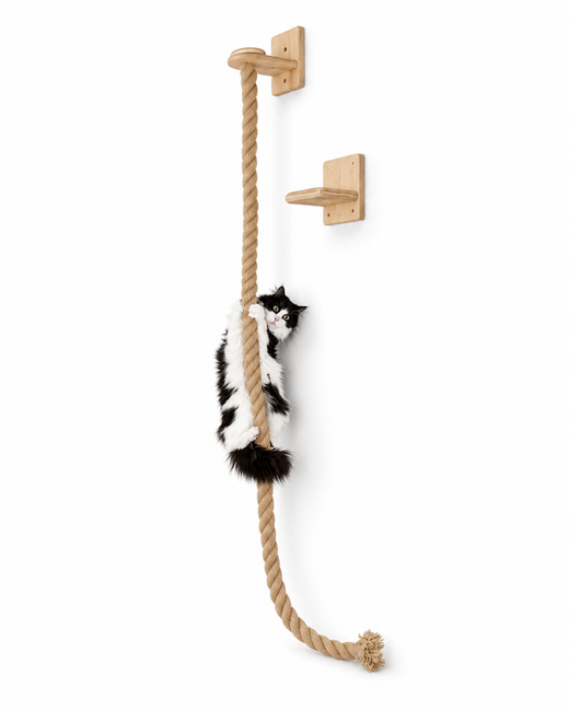 Wall Climbing Toy