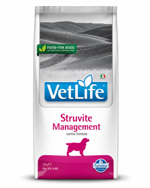 Struvite Management – Diät-Trockenfutter für Hunde bei Struvitstein-Neigung
