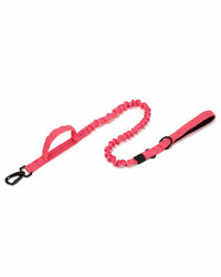 K9 Dog Collar – adjustable, robust & comfortable