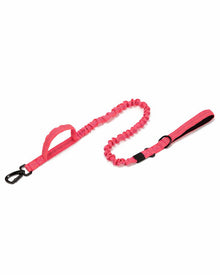 K9 Dog Collar – adjustable, robust & comfortable