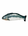 Lachs