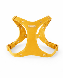 Style, comfort and control in a particularly beautiful form