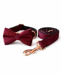 Collar with Bow Tie and Leash