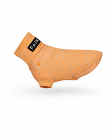 Coole UV-Schutz & Insektenabwehr für den Sommer ☀️🦟🐾