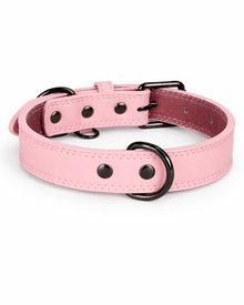 Premium Leather Dog Collar with Double D-Ring – Soft, Robust & Stylish
