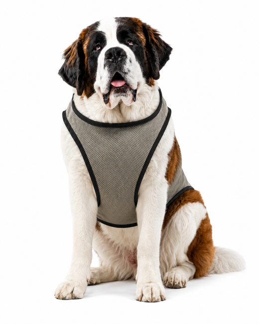 CoolPets Cooling Vest - Kühlweste für Hunde