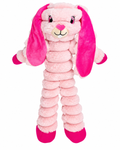 Hase