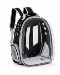 Space Backpack with a Clear View