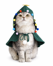 Christmas Cape for Dogs & Cats