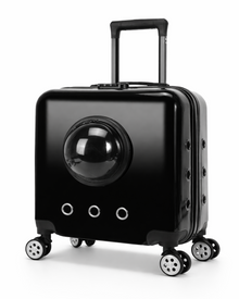 Cat Trolley with Viewing Window