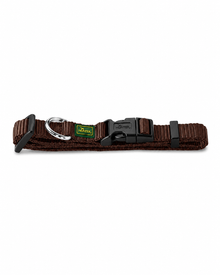 Halsband für Welpen und kleine Hunde