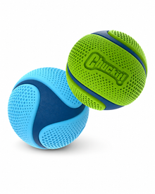 Chuckit! Sniff Fetch Ball M – duftender Apportierball für Hunde 🐾