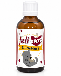 cdVet feliTATZ DarmFlora – fermentierte Kräuter zur Unterstützung der Katzenverdauung