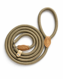 Durable nylon training leash