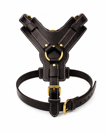 Leather Dog Harness – robust cowhide harness for medium and large dogs