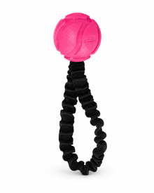 Dog Comets - AstroFlex – Apportierspielzeug mit Ball & elastischem Band