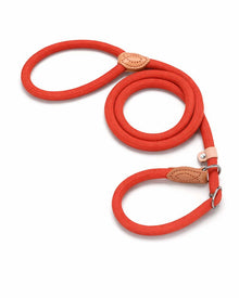 Durable nylon training leash