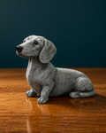 Dachshund