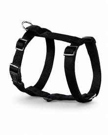 Geschirr Ecco Sport Rapid - Nylon