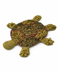 🐢 Sniffing fun in a cute turtle design