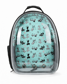 Space Backpack with a Clear View