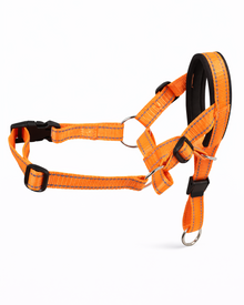 Adjustable Nylon Dog Muzzle – Padded Muzzle Strap with Safety Strap for More Control