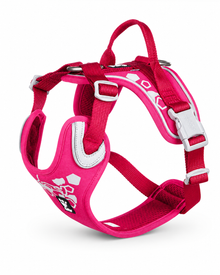 Weekend Warrior - Ergonomisches Hundegeschirr für Alltag & Outdoor